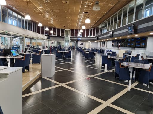 Il Galletto Fortunato Srl