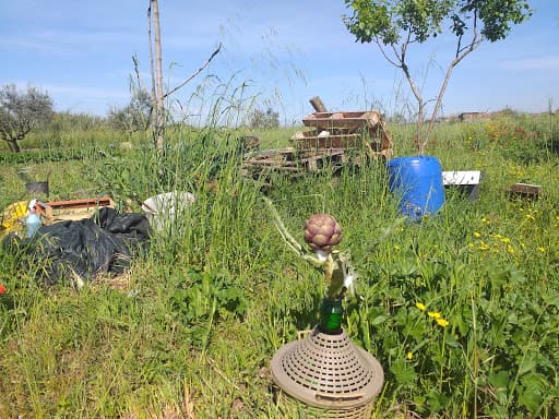 Centro Sportivo Alicocco