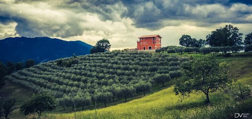 Agriturismo Santa Giusta