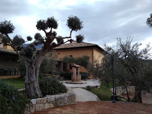 agriturismo casale degli ulivi